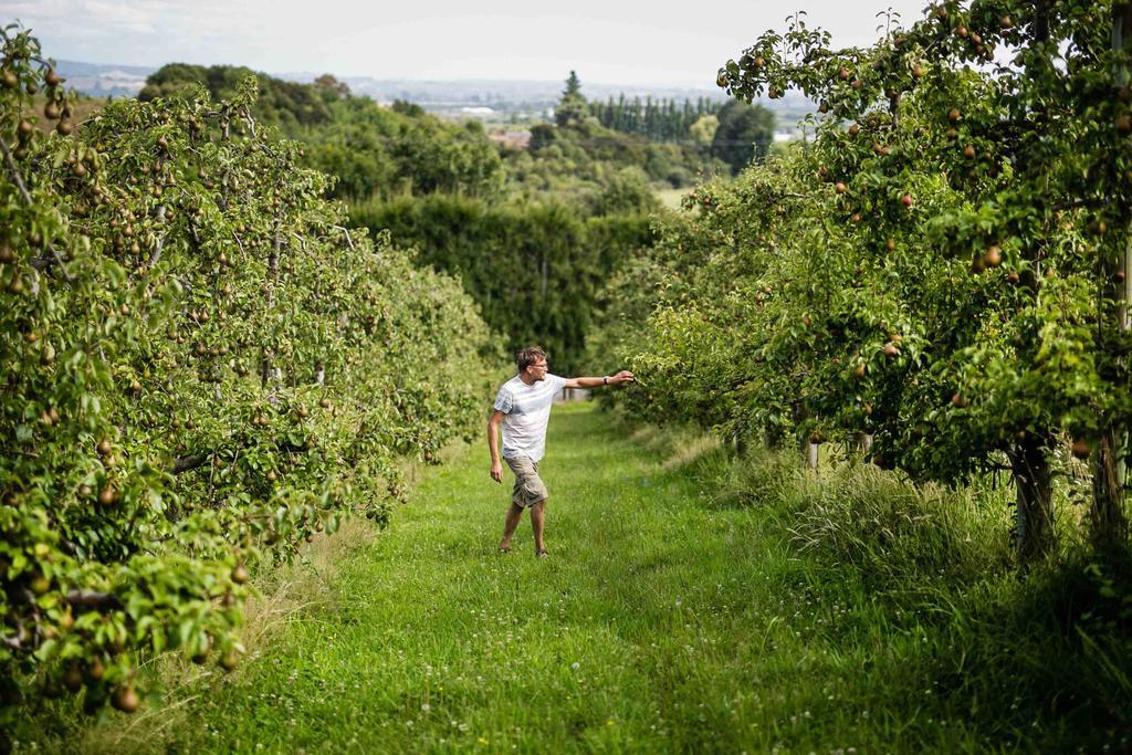 The Pear Orchard Lodge Richmond Eksteriør billede